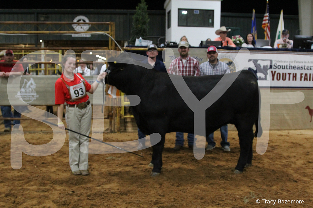 steer5405 - ID: 16101666 © Tracy Bazemore