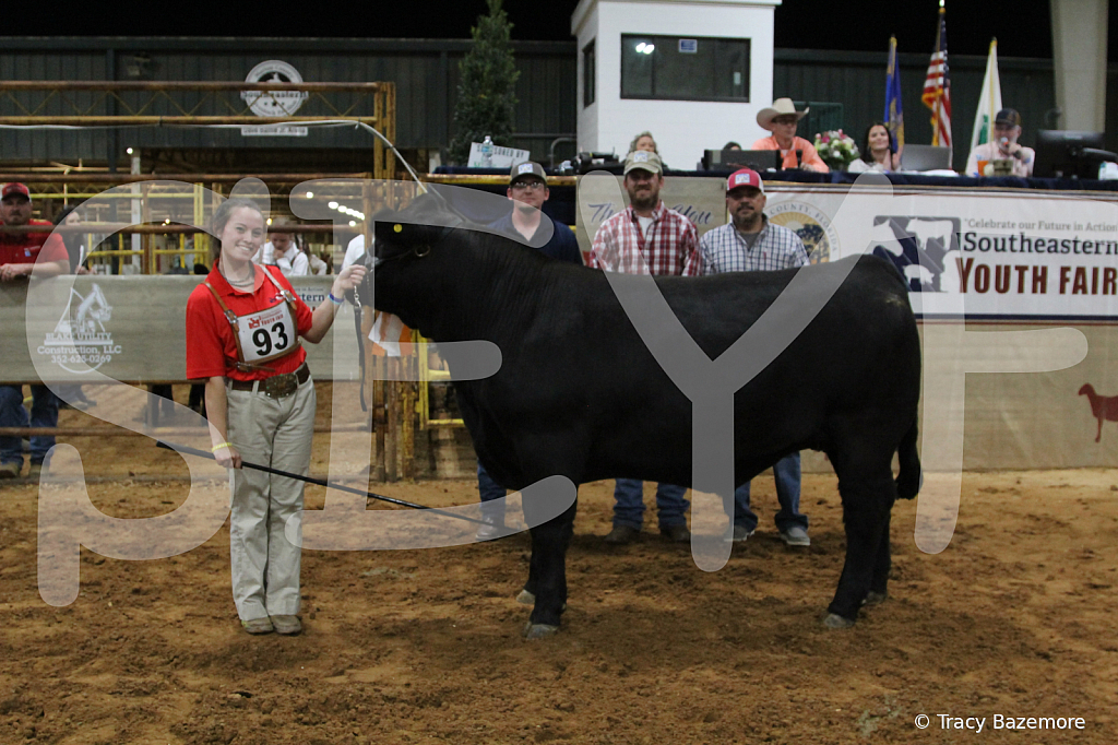 steer5407 - ID: 16101668 © Tracy Bazemore