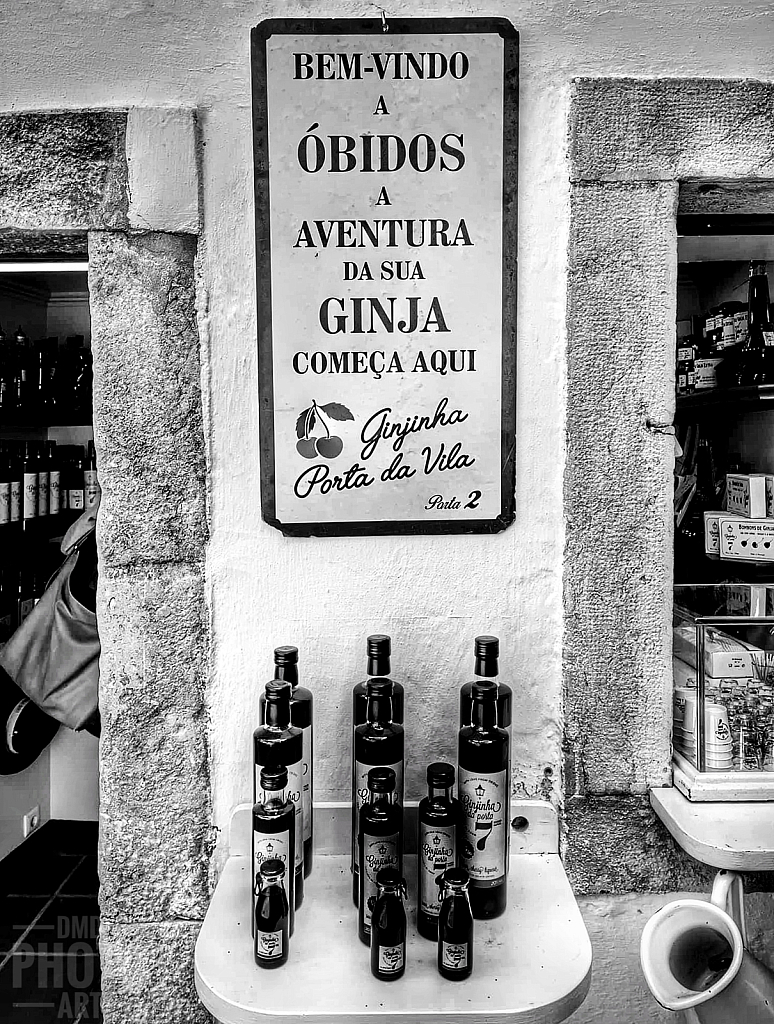 ~ ~ ONE DAY IN OBIDOS ~ ~ 