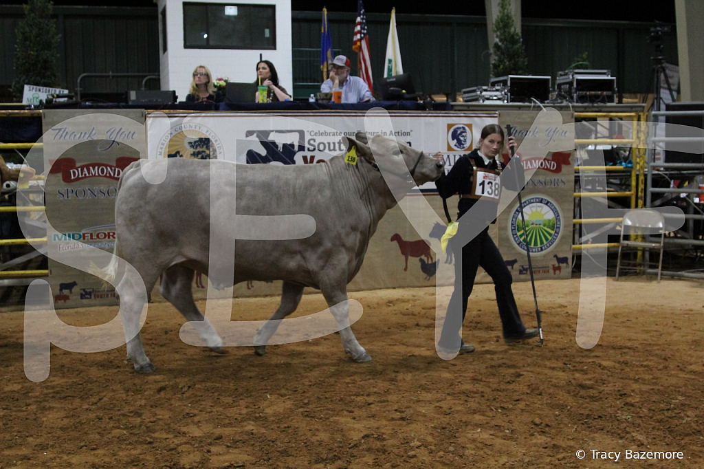 steer3730 - ID: 16102000 © Tracy Bazemore