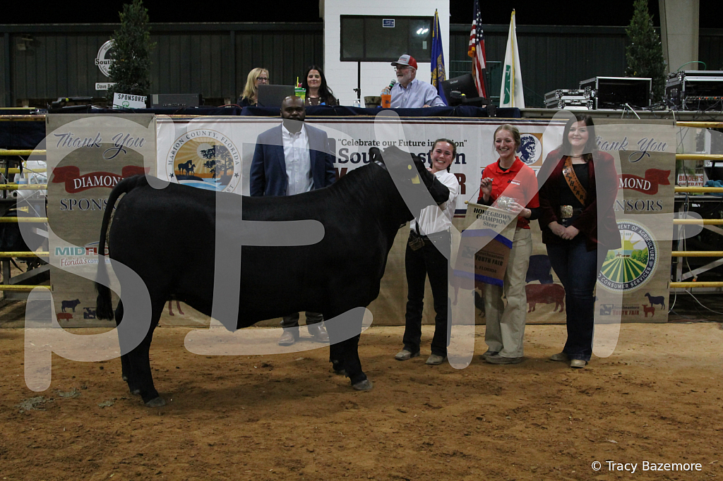 steer3738 - ID: 16102008 © Tracy Bazemore