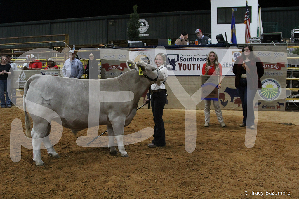 steer4015 - ID: 16102278 © Tracy Bazemore