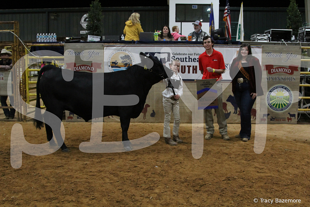 steer4323 - ID: 16102589 © Tracy Bazemore