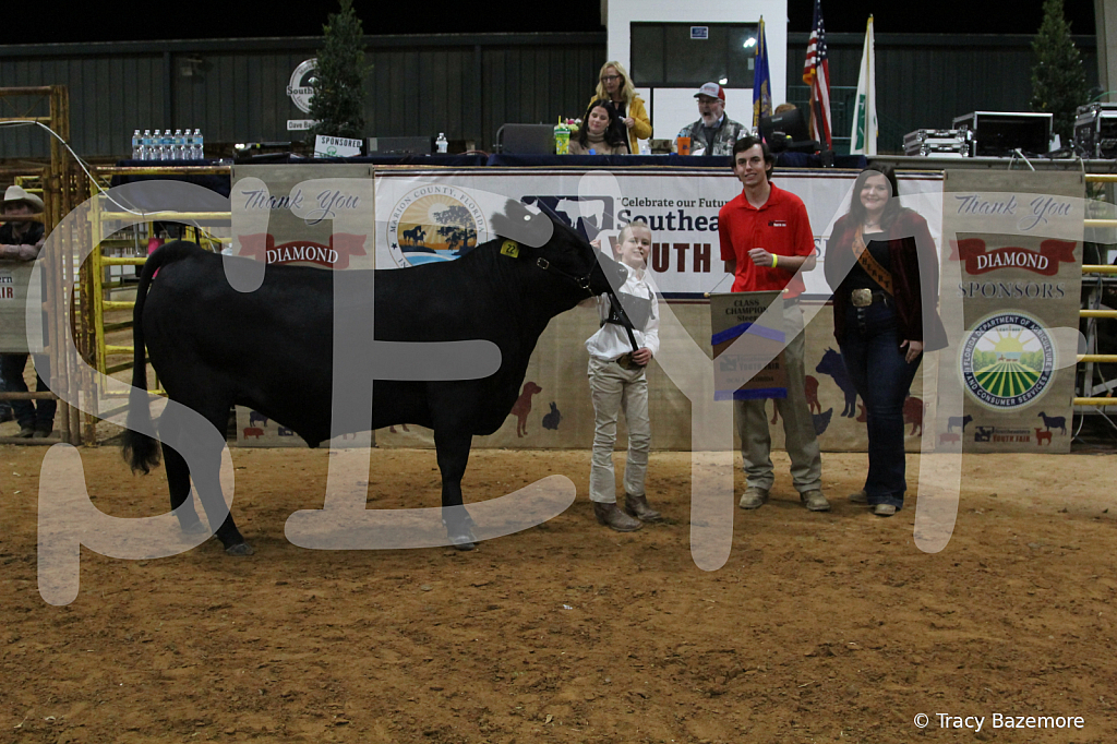 steer4325 - ID: 16102591 © Tracy Bazemore
