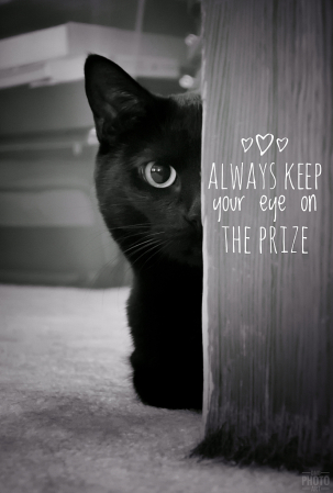 ~ ~ ALWAYS KEEP YOUR EYE ON THE PRIZE ~ ~ 