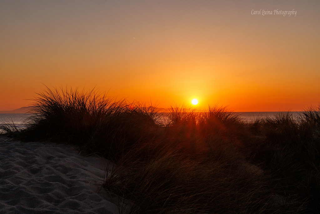 Quintessential California