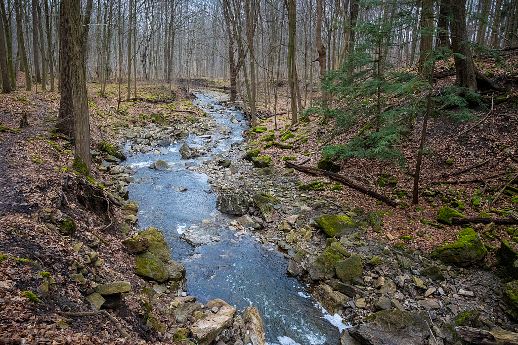 Lower Borer's Falls