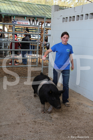 swine7114
