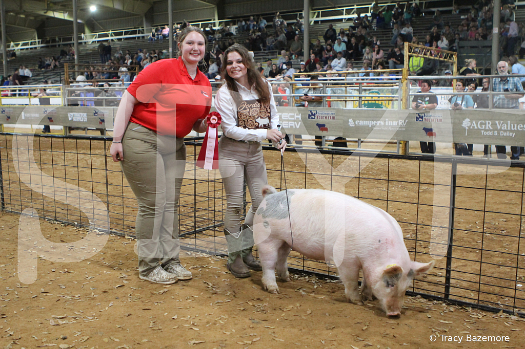 swine8862