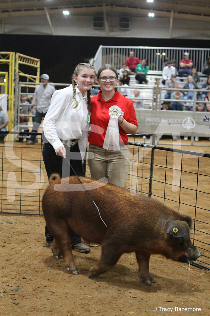 swine8864