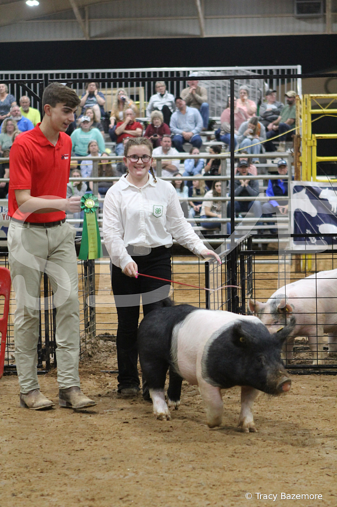 swine8868