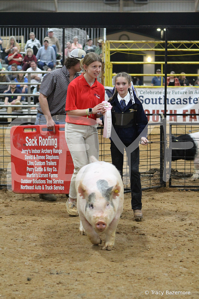 swine8869