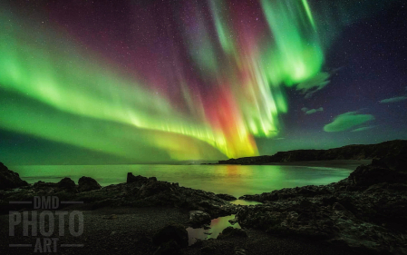 ~ ~ AURORA BOREALIS ~ ~ 