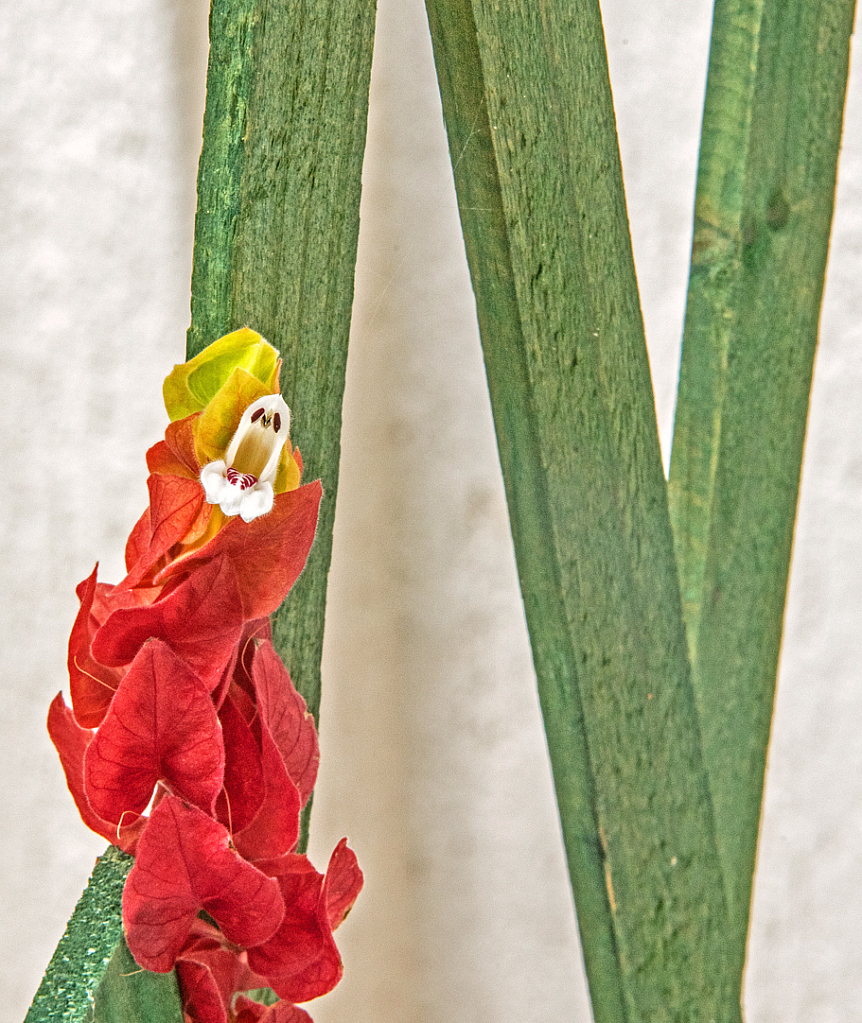 Little Flower on green poles.