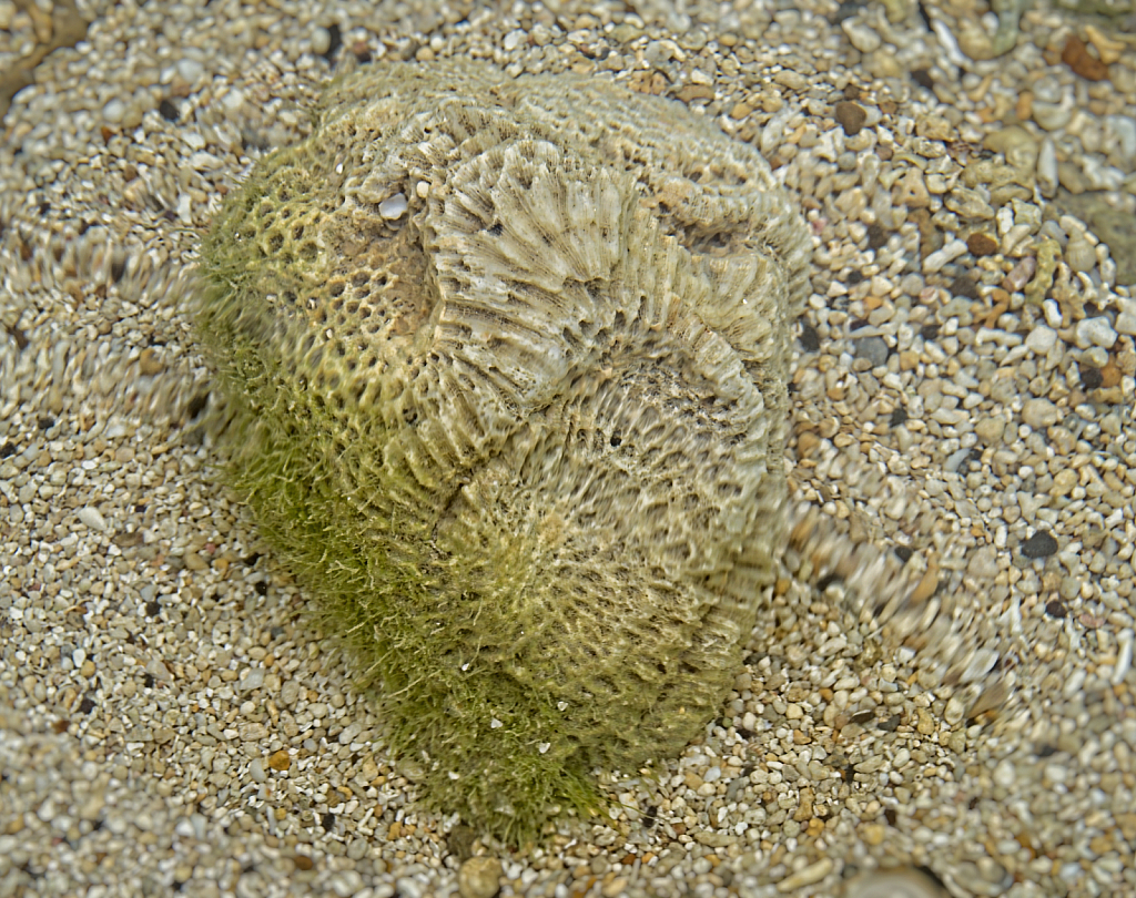 img7