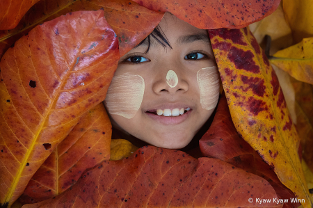 Face Between the Leaves