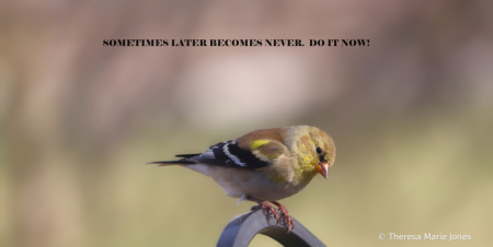 Sometimes Later...