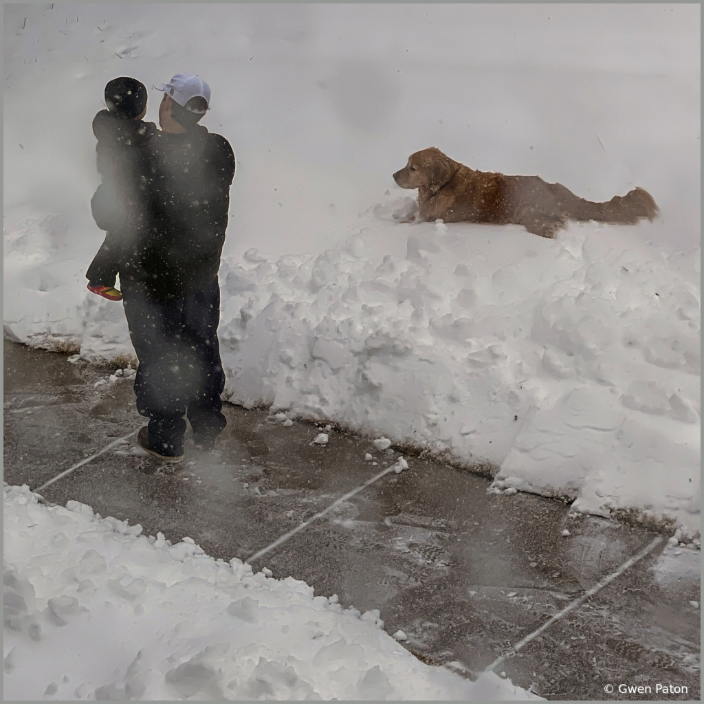 Fun in the Snow