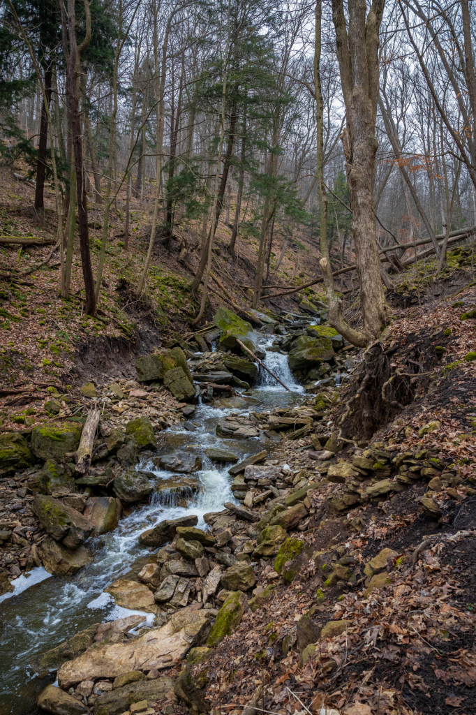 Hike Up To The Falls