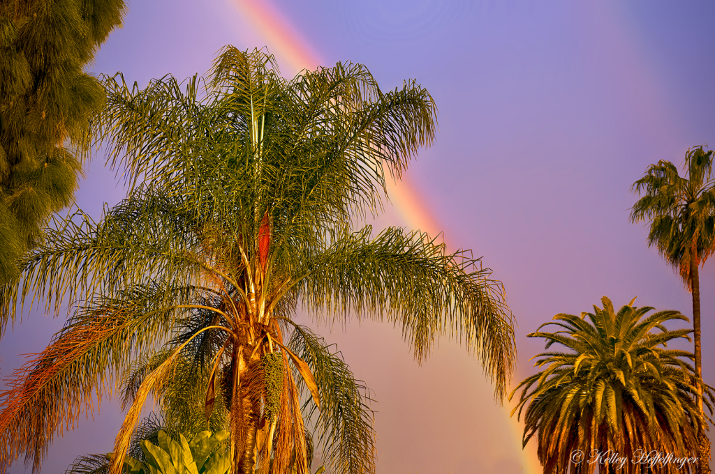 After Spring Showers - ID: 16110384 © Kelley J. Heffelfinger