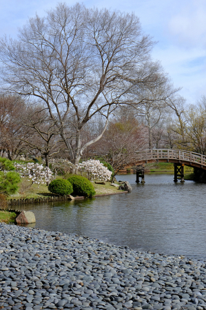 Missouri Botanical Garden 2