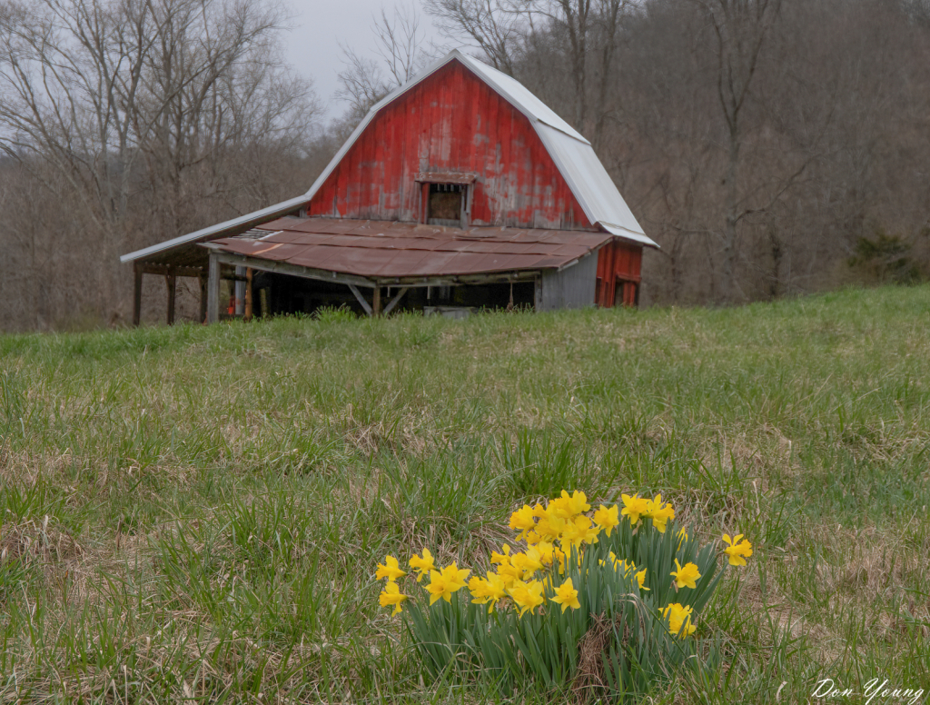 Red Barn On Yellowwood Road