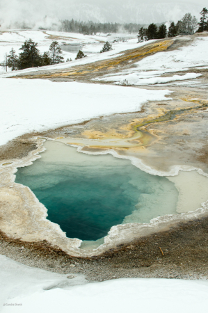 A view from Upper Geyser Basin