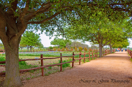 Let's Take a Walk