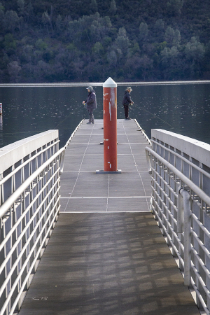 Fishing symmetry