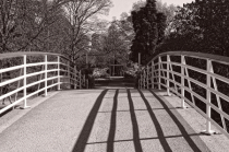 April 2024 Photo Contest 2nd Place Prize Winner
