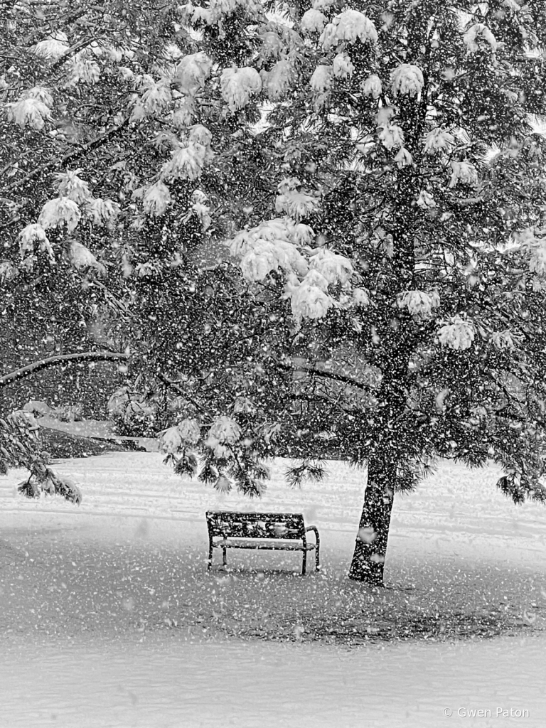 A Snowy Day in March