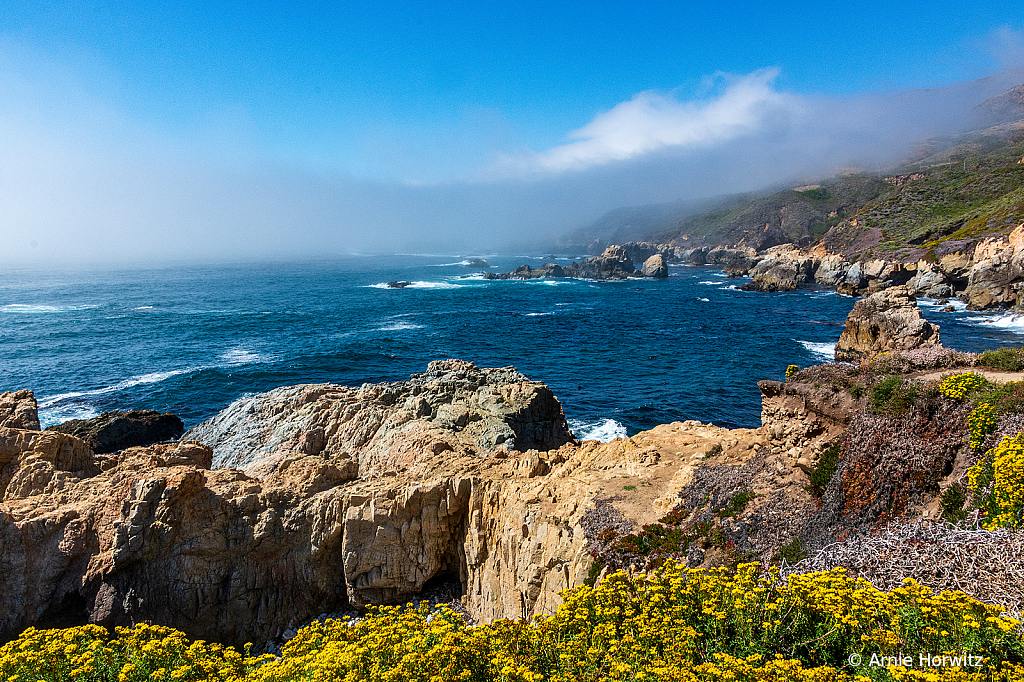 Big Sur Vista