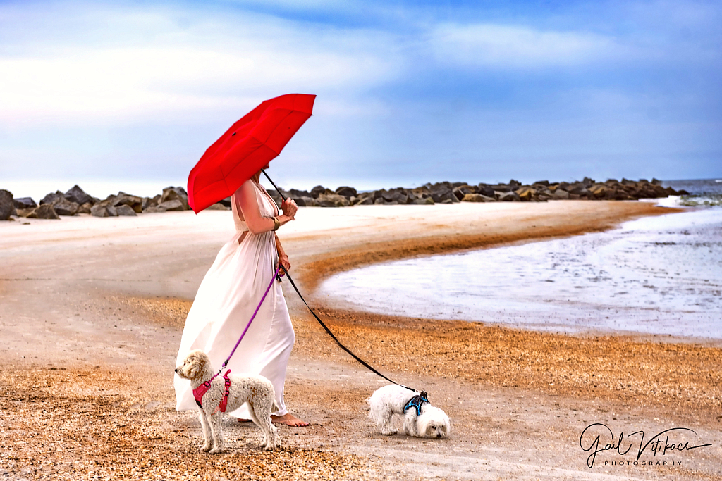 Paw Prints in the Sand