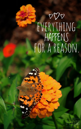 ~ ~ EVERYTHING HAPPENS FOR A REASON ~ ~ 