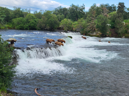 Brooks Falls