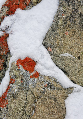 Abstract - Orange Lichen and Snow on Rock