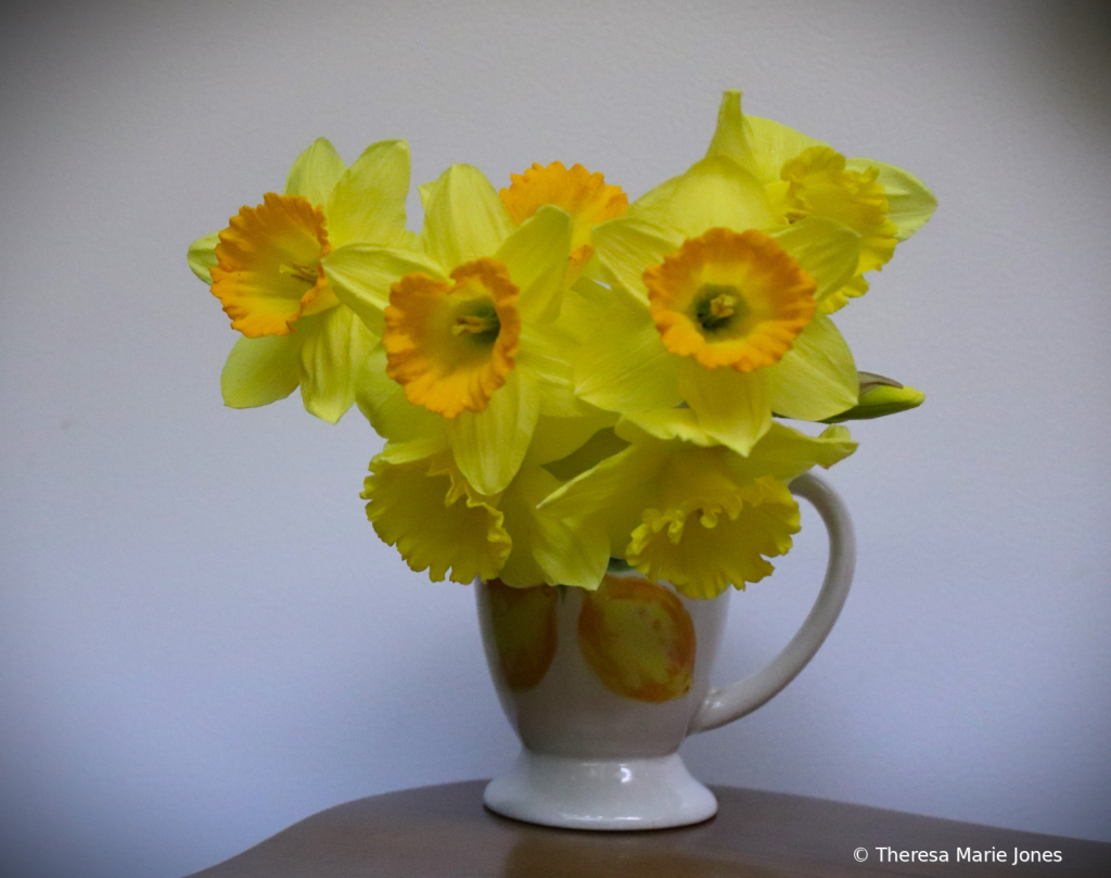 Daffies in a Cup - ID: 16111288 © Theresa Marie Jones