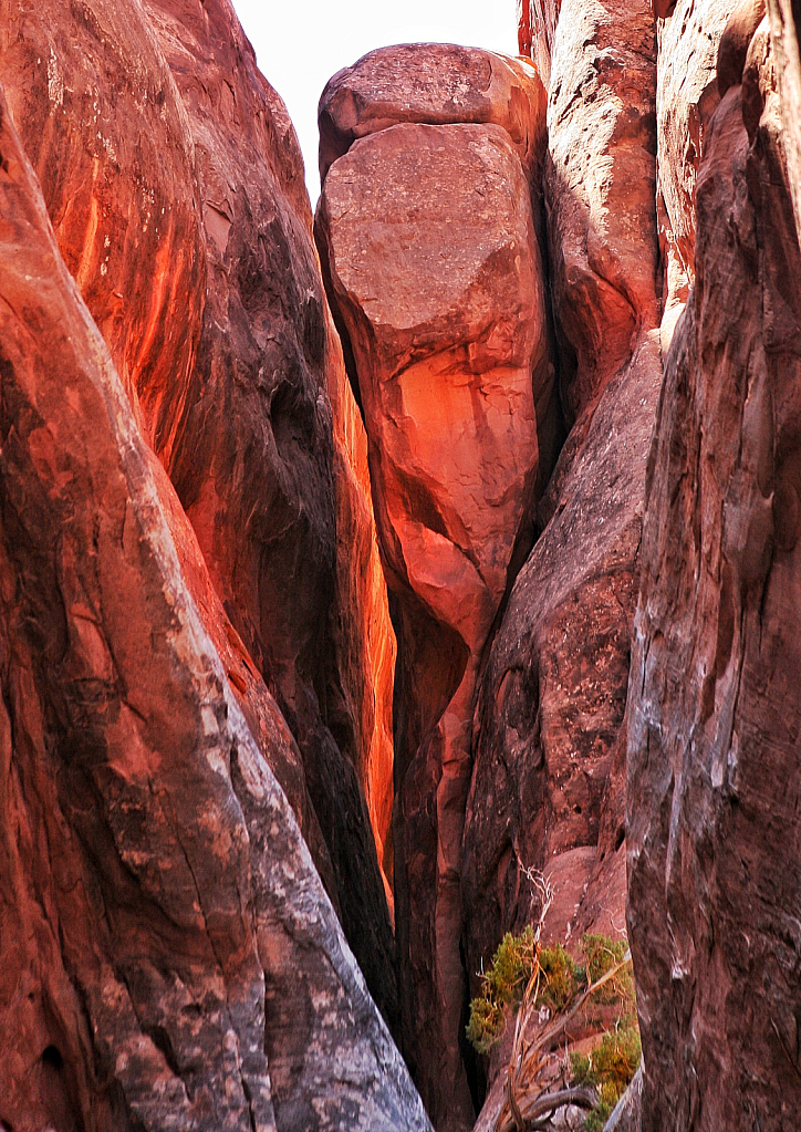 Fire Rock, Arches National Park 
