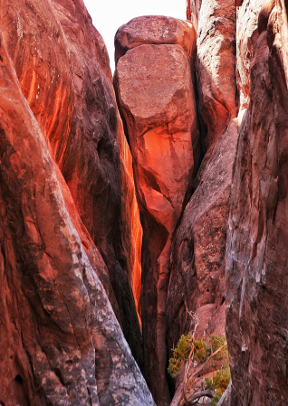 Fire Rock, Arches National Park 