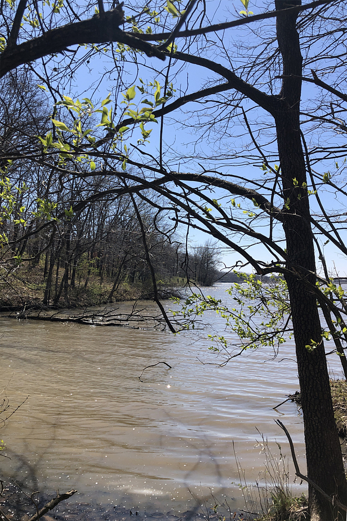 Silver Lake Park 