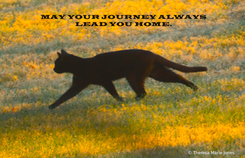 May Your Journey... - ID: 16111358 © Theresa Marie Jones