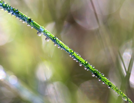 Chain Of Rain