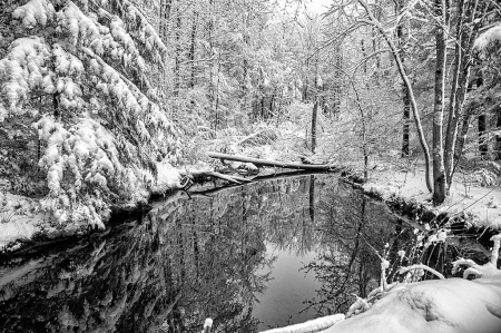 Winter Reflections BW Version