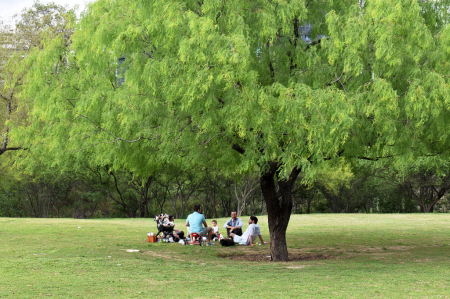 A FAMILY PICNIC AT THE PARK