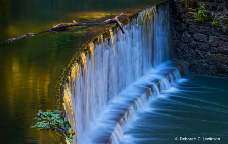 Speedwell Lake