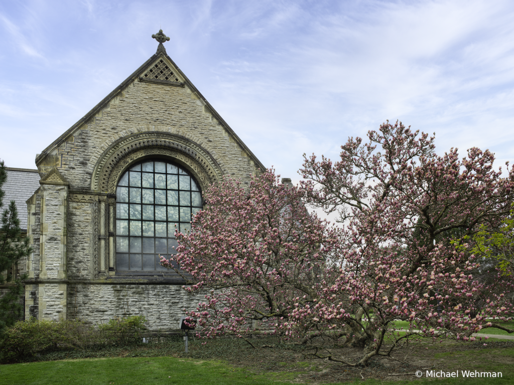 Happy Easter - ID: 16111649 © Michael Wehrman