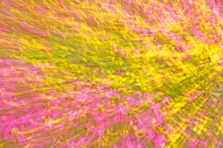Spring colors in motion.