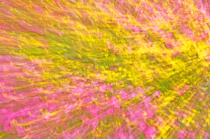 April 2024 Photo Contest 2nd Place Prize Winner