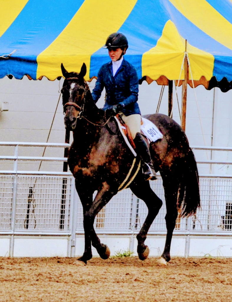 Youth Horse Show