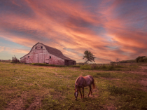 April 2024 Photo Contest 2nd Place Prize Winner